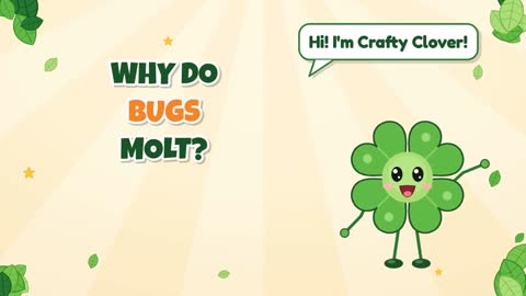 Why Do Bugs Molt?