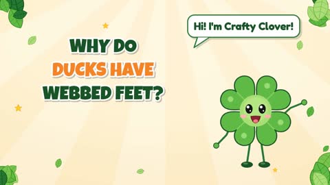 Why Do Ducks Have Webbed Feet?