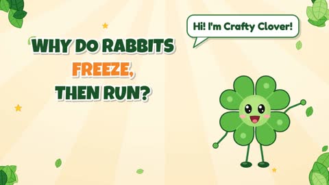 Why Do Rabbits Freeze, Then Run?
