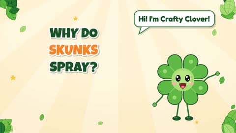 Why Do Skunks Spray?
