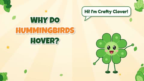 Why Do Hummingbirds Hover?