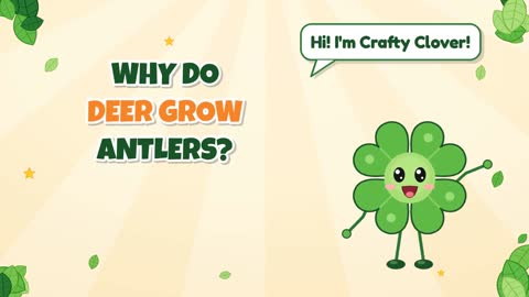 Why Do Deer Grow Antlers?