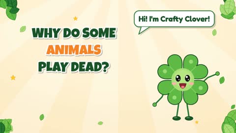 Why Do Some Animals Play Dead?