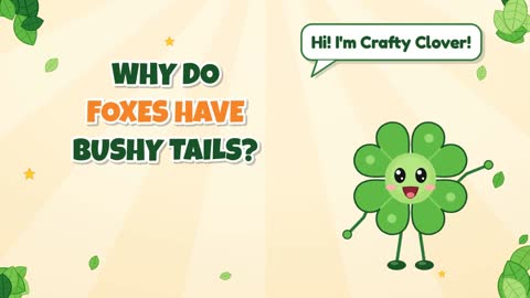 Why Do Foxes Have Bushy Tails?