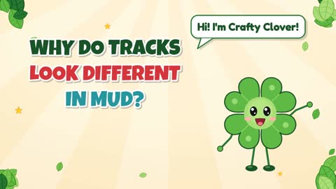 Why Do Tracks Look Different in Mud?