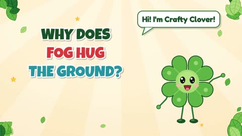 Why Does Fog Hug the Ground?