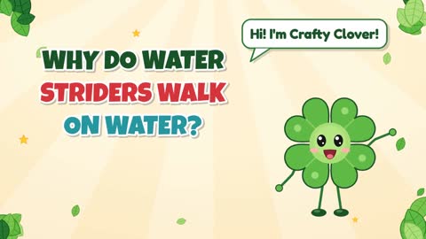 Why Do Water Striders Walk on Water?