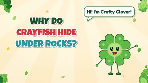 Why Do Crayfish Hide Under Rocks?
