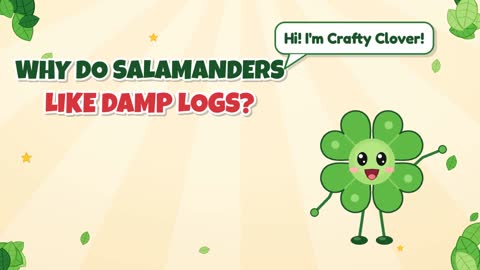 Why Do Salamanders Like Damp Logs?