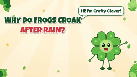 Why Do Frogs Croak After Rain? The Pond Chorus