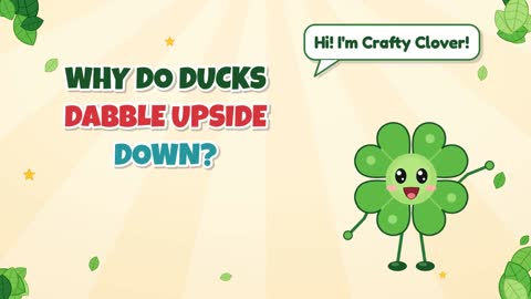 Why Do Ducks Dabble Upside Down?