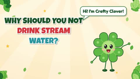 Why Should You Not Drink Stream Water?