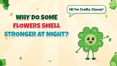 Why Do Some Flowers Smell Stronger at Night?