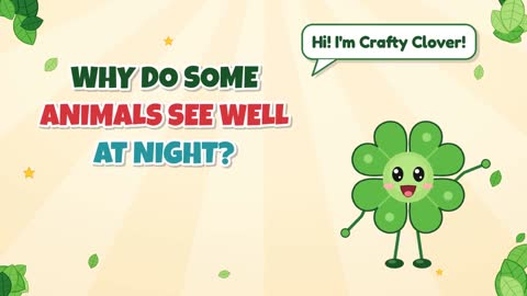 Why Do Some Animals See Well at Night?