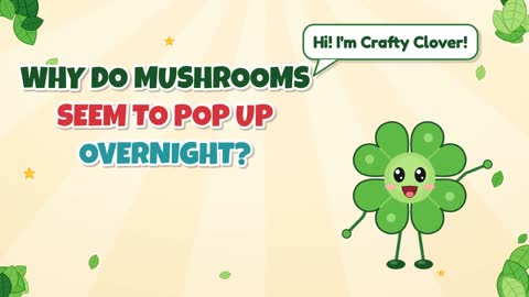 Why Do Mushrooms Seem to Pop Up Overnight?