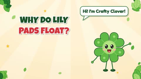 Why Do Lily Pads Float?