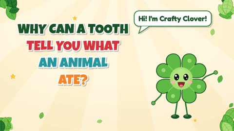 Tooth Talk! How Can a Tooth Tell What an Animal Ate?