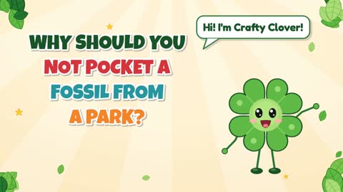 Leave It There! Why Not Pocket a Fossil From a Park?