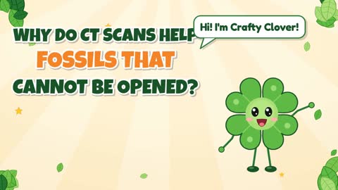 X-Ray Vision! Why Do CT Scans Help With Fossils?