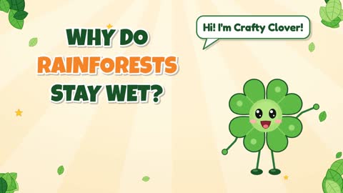 Always Wet! Why Do Rainforests Stay Wet?