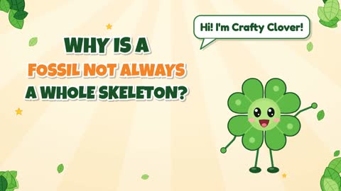 Half a Skeleton? Why Is a Fossil Not Always Whole?