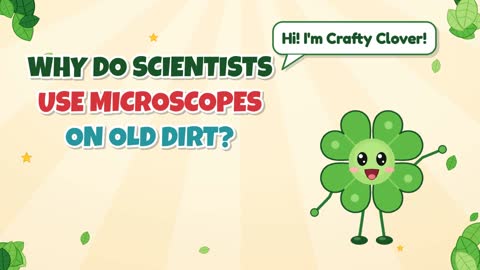 Tiny Details! Why Use Microscopes on Old Dirt?