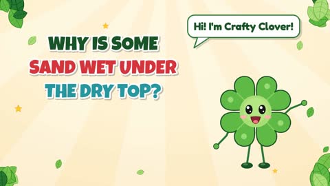 Why Is Some Sand Wet Under the Dry Top?