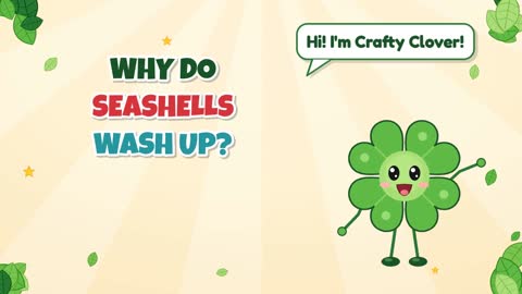 Why Do Seashells Wash Up?
