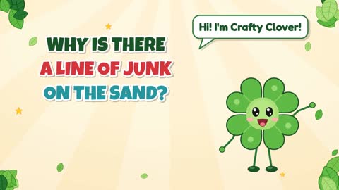 Why Is There a Line of Junk on the Sand?