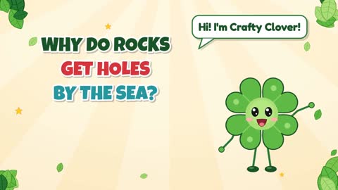 Why Do Rocks Get Holes By the Sea?
