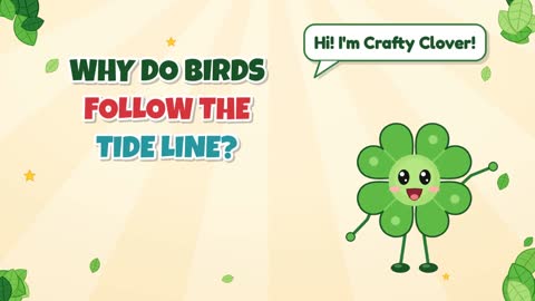 Why Do Birds Follow the Tide Line?