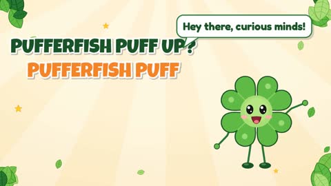 Why Does a Pufferfish Puff Up?