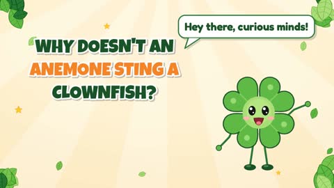 Why Doesn't an Anemone Sting a Clownfish?