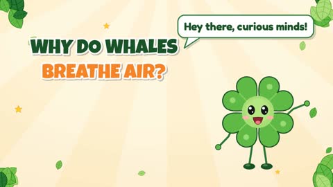 Why Do Whales Breathe Air?