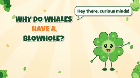 Why Do Whales Have a Blowhole?