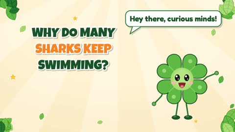 Why Do Many Sharks Keep Swimming?