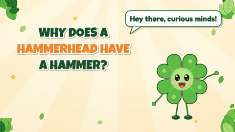 Why Does a Hammerhead Have a Hammer?