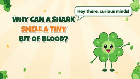 Why Can a Shark Smell a Tiny Bit of Blood?