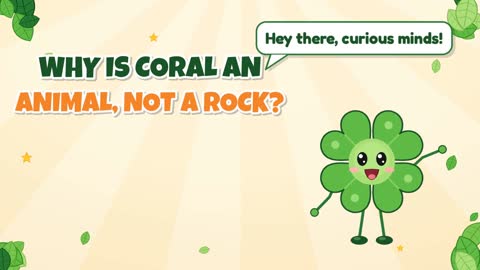 Why Is Coral an Animal, Not a Rock?