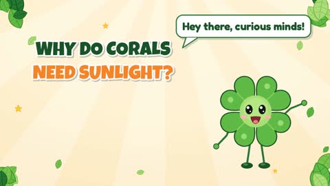 Why Do Corals Need Sunlight?