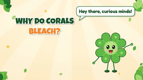 Why Do Corals Bleach?