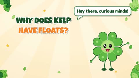 Why Does Kelp Have Floats?