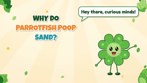 Why Do Parrotfish Poop Sand?