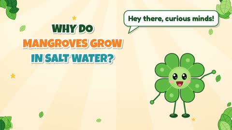 Why Do Mangroves Grow in Salt Water?