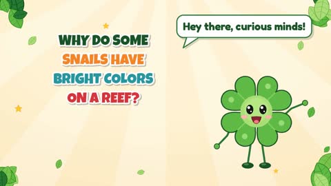Why Do Some Snails Have Bright Colors on a Reef?