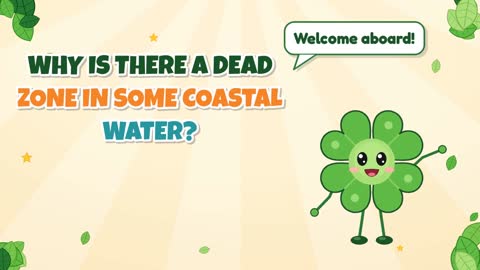 Why Is There a Dead Zone in Some Coastal Water?
