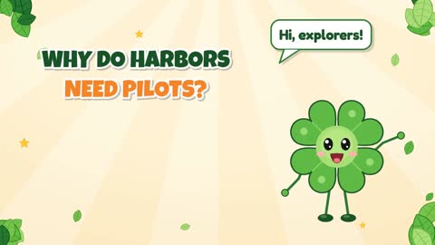 Why Do Harbors Need Pilots?