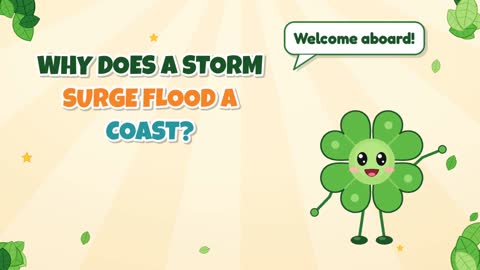 Why Does a Storm Surge Flood a Coast?