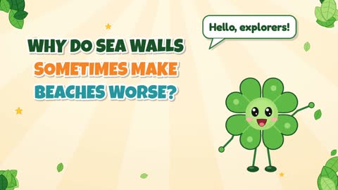 Why Do Sea Walls Sometimes Make Beaches Worse?