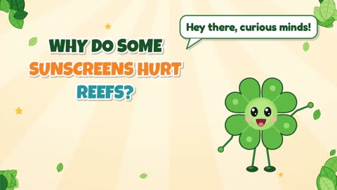 Why Do Some Sunscreens Hurt Reefs?